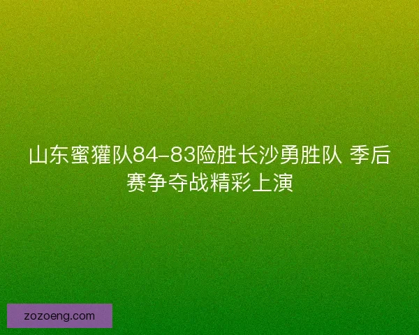 山东蜜獾队84-83险胜长沙勇胜队 季后赛争夺战精彩上演 山东蜜獾队84-83险胜长沙勇胜队 季后赛争夺战精彩上演