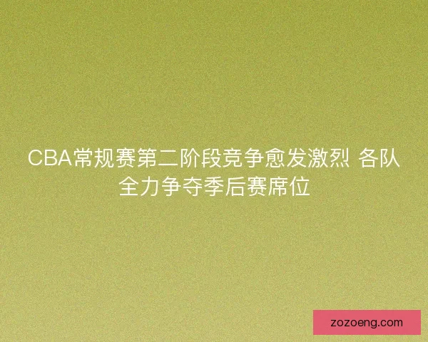 CBA常规赛第二阶段竞争愈发激烈 各队全力争夺季后赛席位 CBA常规赛第二阶段竞争愈发激烈 各队全力争夺季后赛席位