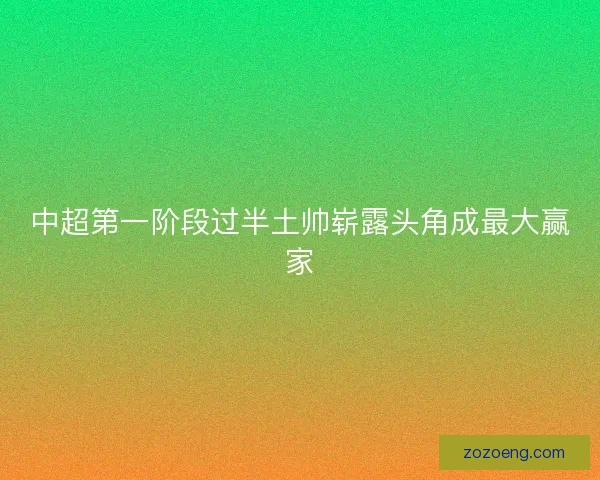 中超第一阶段过半土帅崭露头角成最大赢家 中超第一阶段过半土帅崭露头角成最大赢家